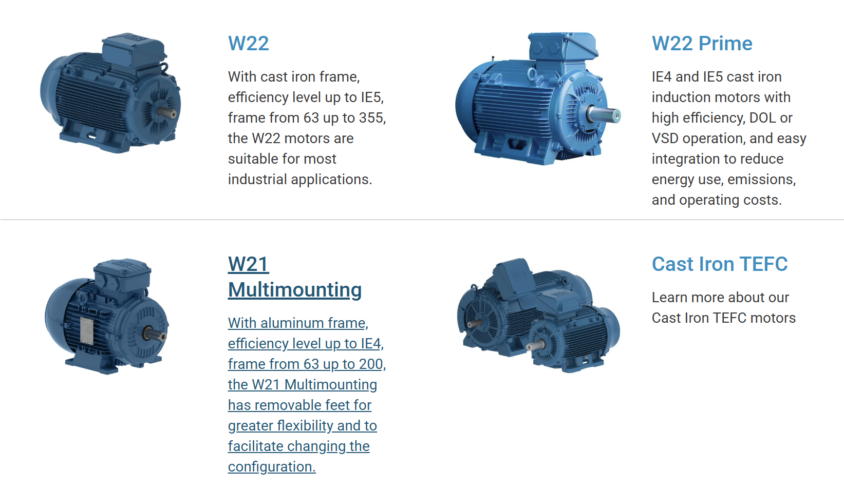 WEG W22 NEMA and IEC Premium Efficiency Motors